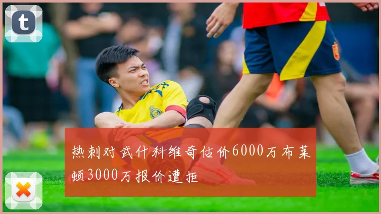 热刺对武什科维奇估价6000万布莱顿3000万报价遭拒